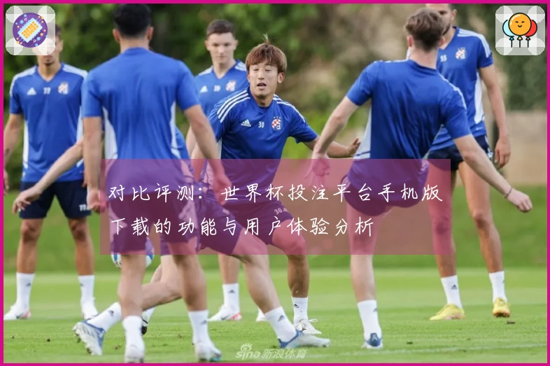 对比评测：世界杯投注平台手机版下载的功能与用户体验分析