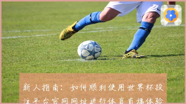 新人指南：如何顺利使用世界杯投注平台官网网址进行体育直播体验