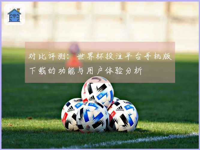 对比评测：世界杯投注平台手机版下载的功能与用户体验分析