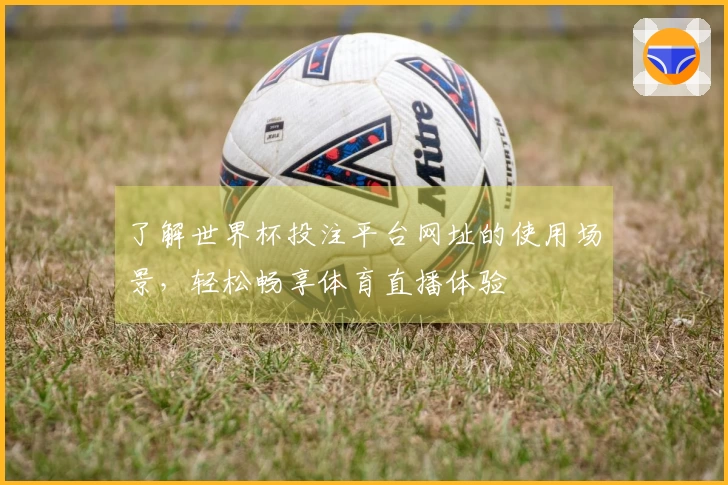 了解世界杯投注平台网址的使用场景，轻松畅享体育直播体验