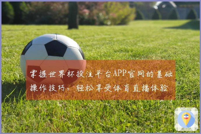 掌握世界杯投注平台APP官网的基础操作技巧，轻松享受体育直播体验