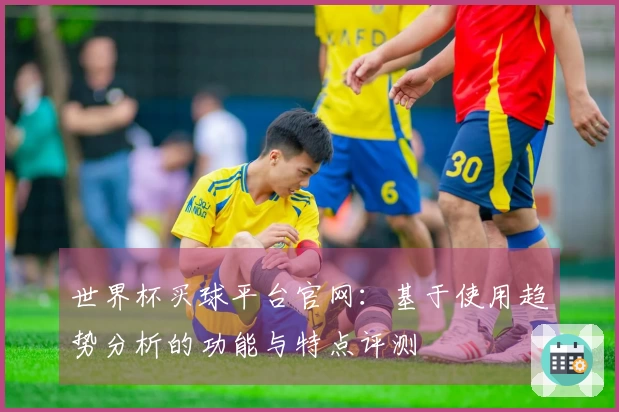 世界杯买球平台官网：基于使用趋势分析的功能与特点评测